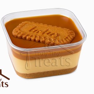 جارکیک‌های دست‌ساز treats در جار شیشه‌ای شیک با لایه‌های کیک و خامه